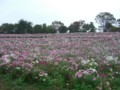 f:id:a_sue:20111022143936j:image:medium