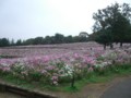 f:id:a_sue:20111022144032j:image:medium