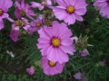 f:id:a_sue:20111022144108j:image:medium
