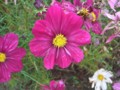 f:id:a_sue:20111022144445j:image:medium