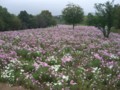f:id:a_sue:20111022144730j:image:medium