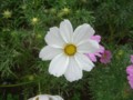 f:id:a_sue:20111022145322j:image:medium