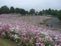 f:id:a_sue:20111022145518j:image:medium