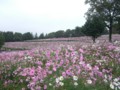 f:id:a_sue:20111022145904j:image:medium