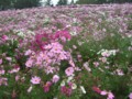 f:id:a_sue:20111022150148j:image:medium
