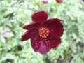 f:id:a_sue:20111022153336j:image:medium
