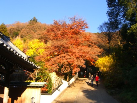 f:id:a_sue:20111217143639j:image:w360