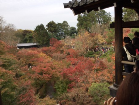 f:id:a_sue:20151123101749j:image:w360