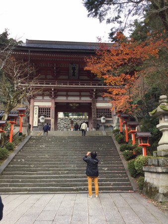 f:id:a_sue:20151124093854j:image:w360 f:id:a_sue:20151124093854j:image:w360
