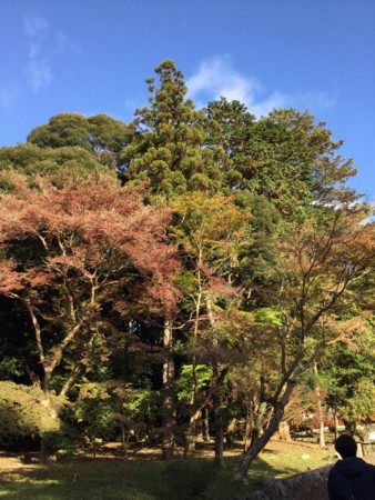 f:id:a_sue:20151124145711j:image:w360 f:id:a_sue:20151124145711j:image:w360