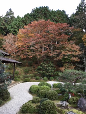 f:id:a_sue:20151124152758j:image:w360 f:id:a_sue:20151124152758j:image:w360