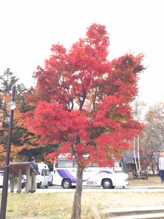 f:id:a_sue:20161022142218j:image:w360
