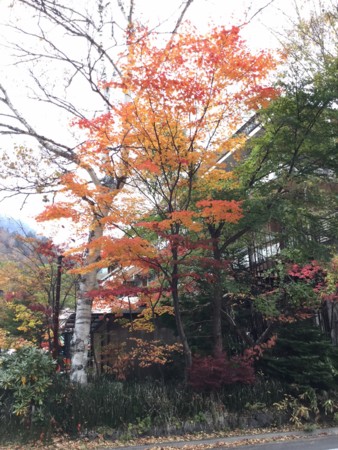 f:id:a_sue:20161022142613j:image:w360