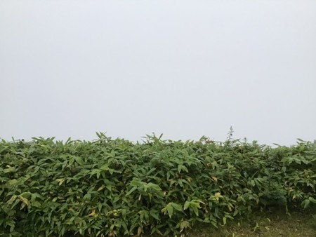 f:id:a_sue:20190830044622j:plain f:id:a_sue:20190830044622j:plain