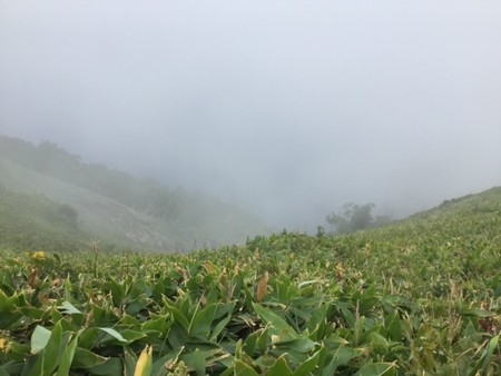 f:id:a_sue:20190830112038j:plain f:id:a_sue:20190830112038j:plain