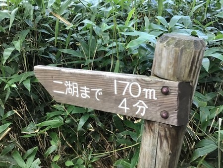 f:id:a_sue:20190830164755j:plain f:id:a_sue:20190830164755j:plain
