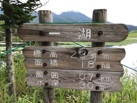 f:id:a_sue:20190830170410j:plain f:id:a_sue:20190830170410j:plain