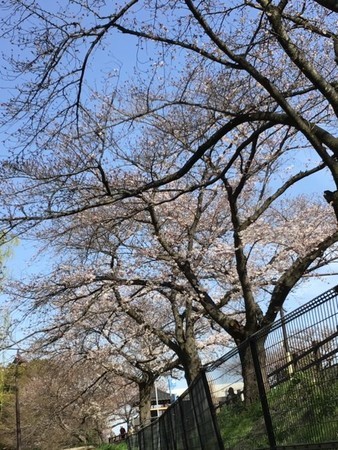 f:id:a_sue:20200321143545j:plain f:id:a_sue:20200321143545j:plain