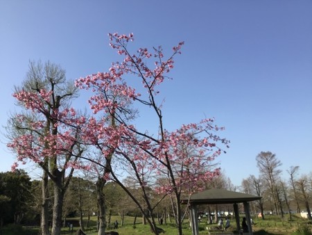 f:id:a_sue:20200321151120j:plain f:id:a_sue:20200321151120j:plain