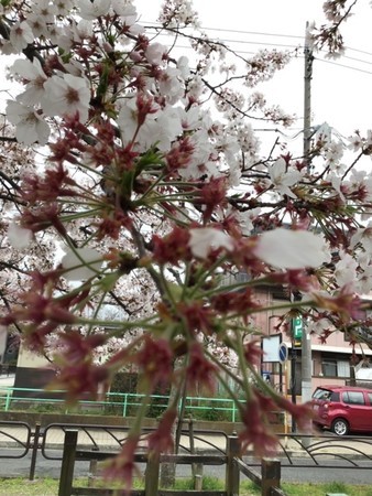 f:id:a_sue:20200328133346j:plain f:id:a_sue:20200328133346j:plain