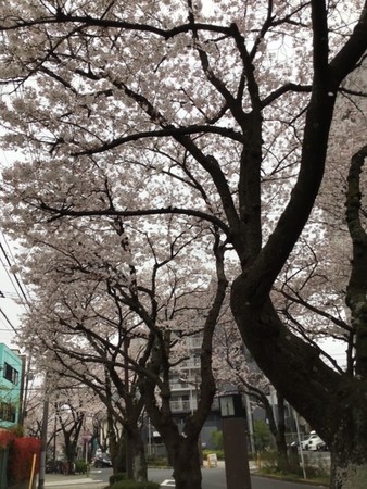 f:id:a_sue:20200328135335j:plain f:id:a_sue:20200328135335j:plain