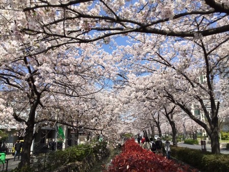 f:id:a_sue:20200404111216j:plain f:id:a_sue:20200404111216j:plain