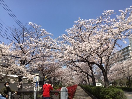 f:id:a_sue:20200404111520j:plain f:id:a_sue:20200404111520j:plain