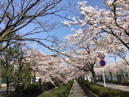 f:id:a_sue:20200404111754j:plain f:id:a_sue:20200404111754j:plain