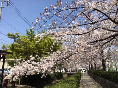 f:id:a_sue:20200404111828j:plain f:id:a_sue:20200404111828j:plain
