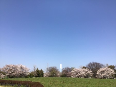 f:id:a_sue:20200404125533j:plain f:id:a_sue:20200404125533j:plain