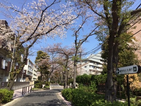 f:id:a_sue:20200404133335j:plain f:id:a_sue:20200404133335j:plain