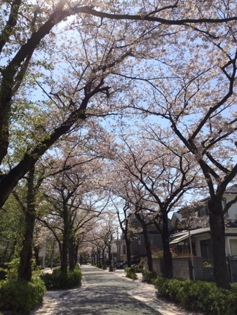 f:id:a_sue:20200404133803j:plain f:id:a_sue:20200404133803j:plain