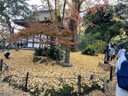 f:id:a_sue:20211204151149j:plain