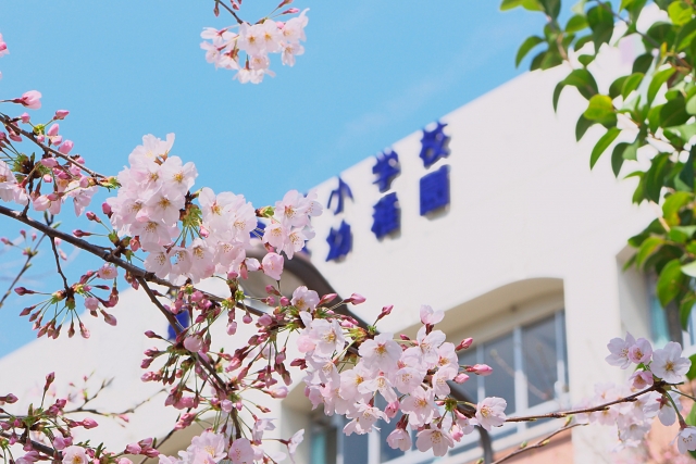 f:id:a_tofu:20180724004913j:plain