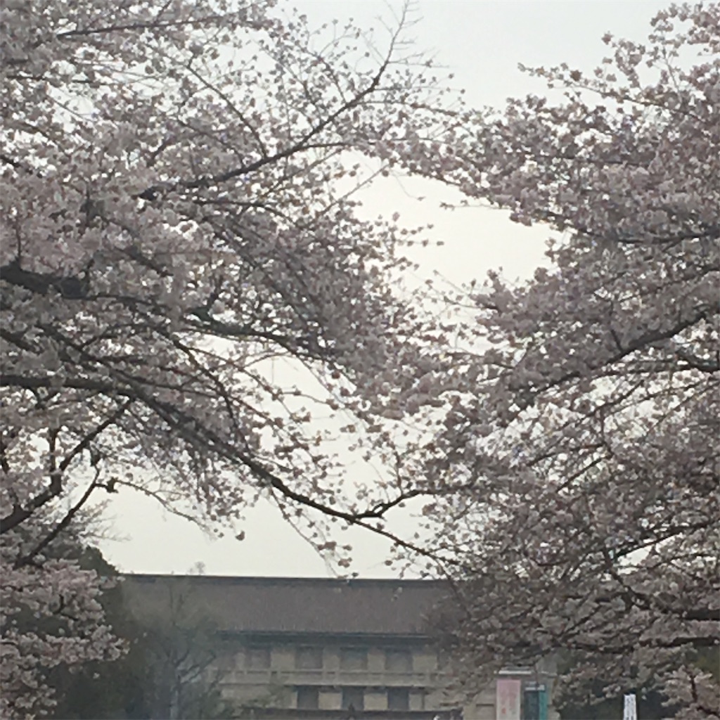 f:id:a_yellow_bird:20190330130620j:image