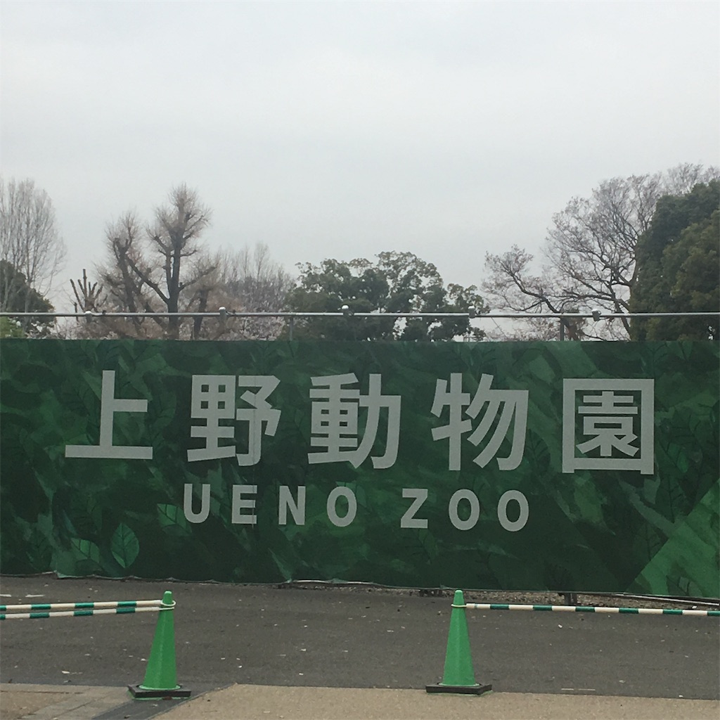 f:id:a_yellow_bird:20190330130635j:image