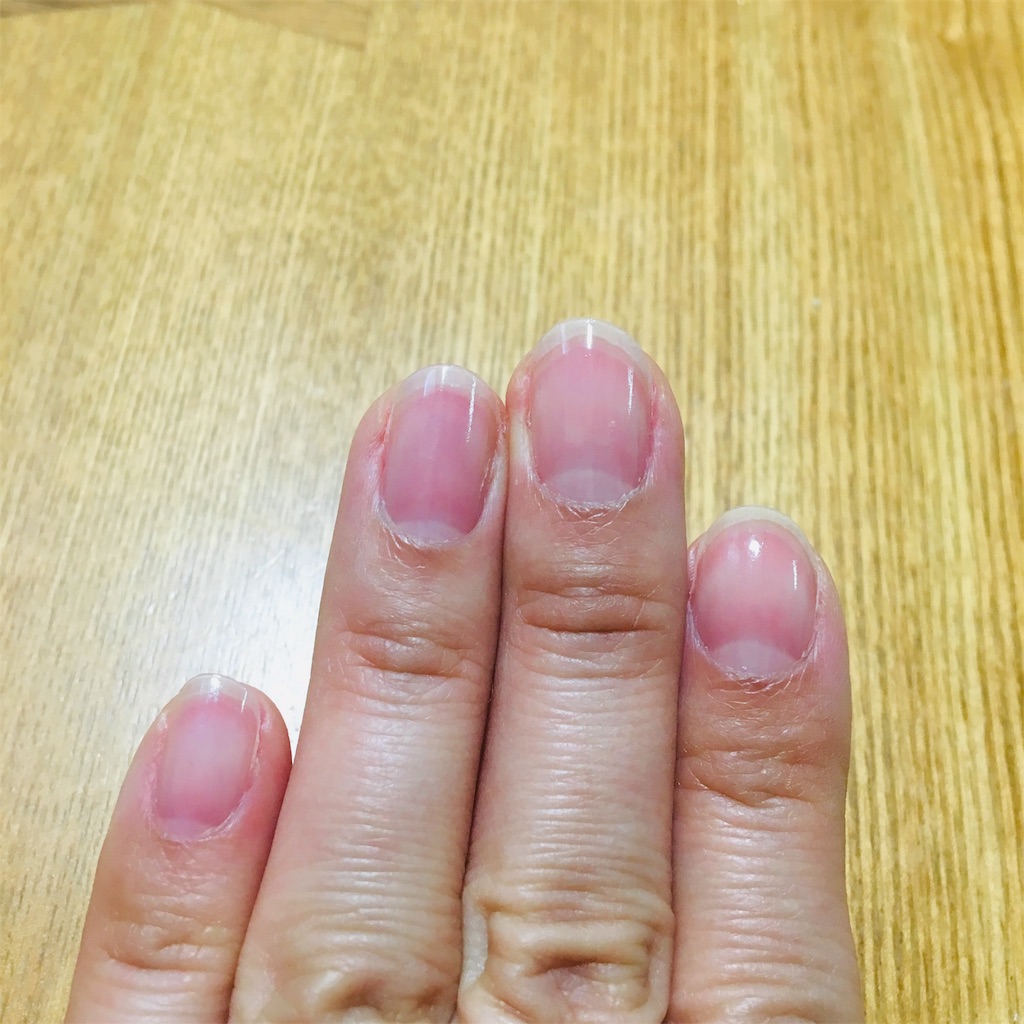f:id:a_yellow_bird:20190428090654j:image