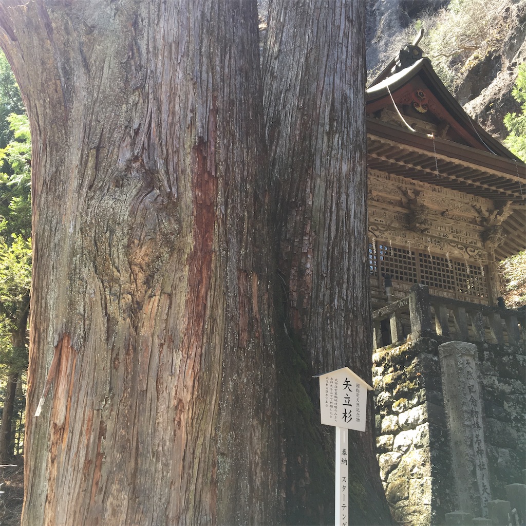 f:id:a_yellow_bird:20190429170308j:image