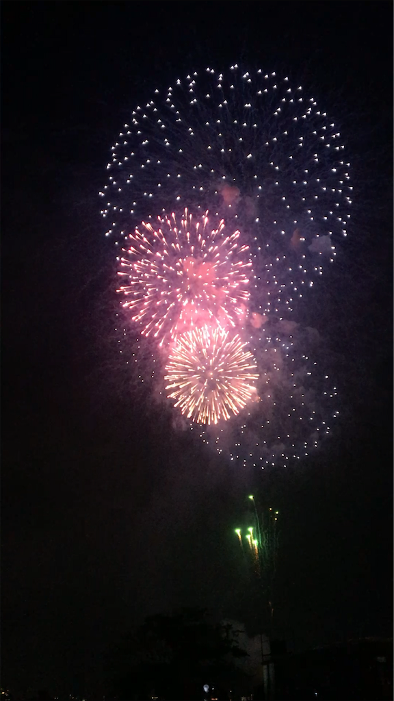 f:id:a_yellow_bird:20190805125422p:image