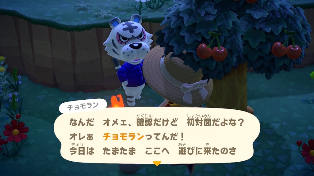 f:id:a_yellow_bird:20200822014900j:image f:id:a_yellow_bird:20200822014900j:image