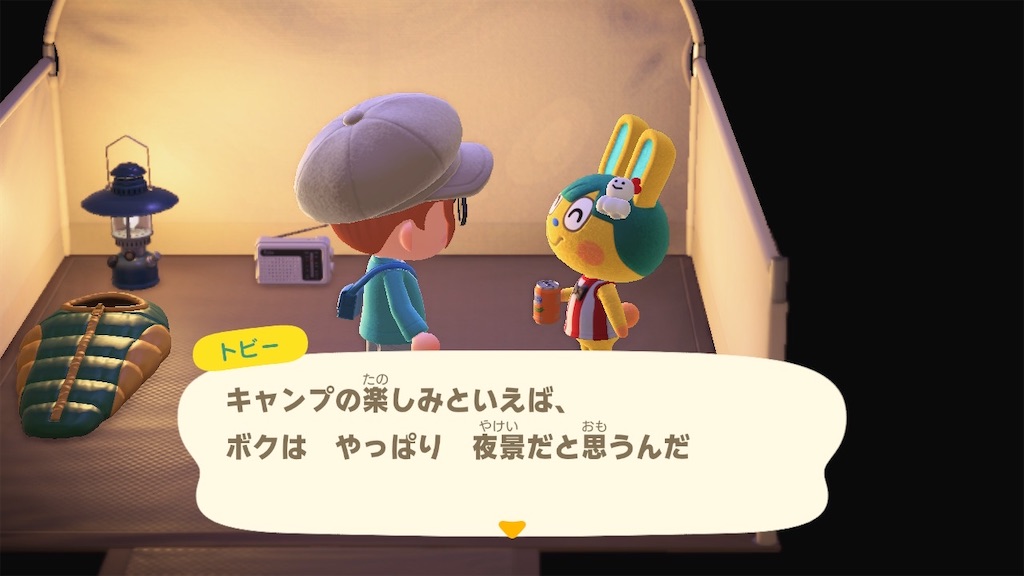 f:id:a_yellow_bird:20210508085836j:image