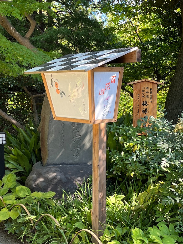 f:id:a_yellow_bird:20221002184626j:image