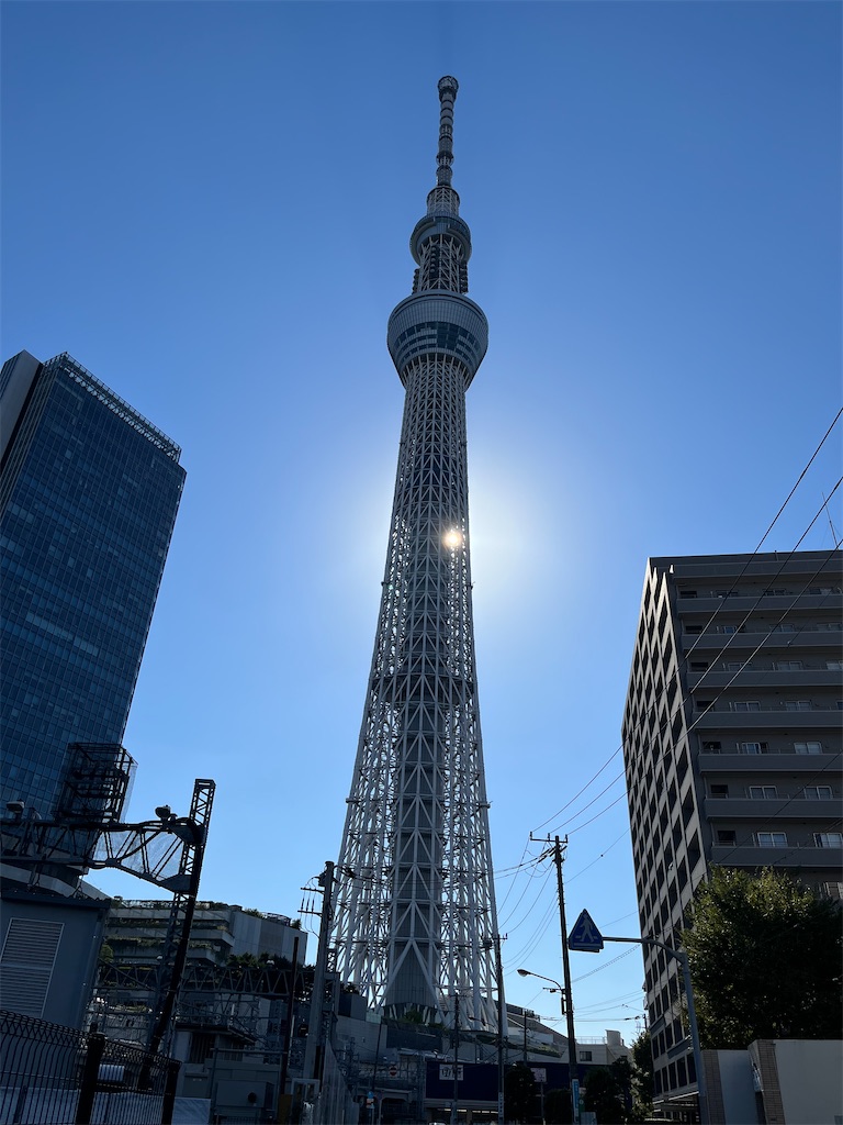 f:id:a_yellow_bird:20221002184642j:image