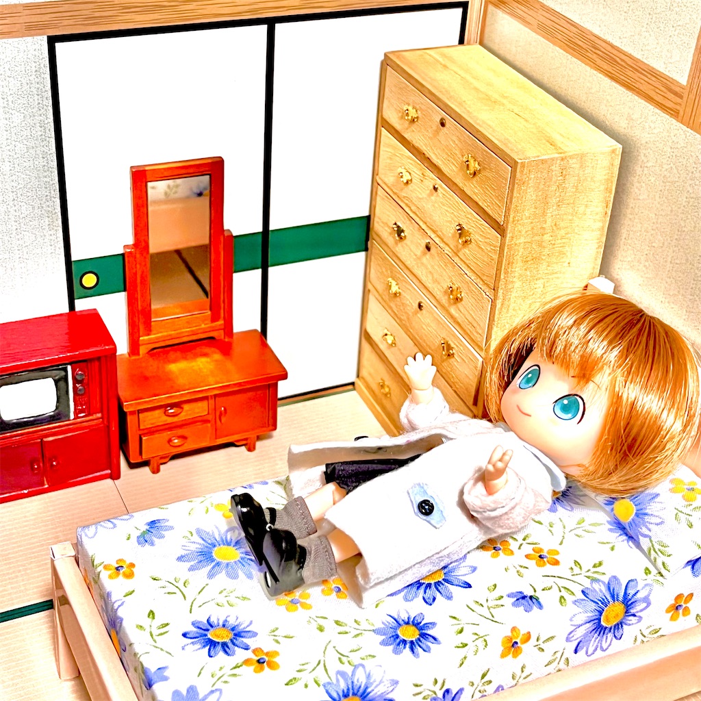 f:id:a_yellow_bird:20230114215907j:image