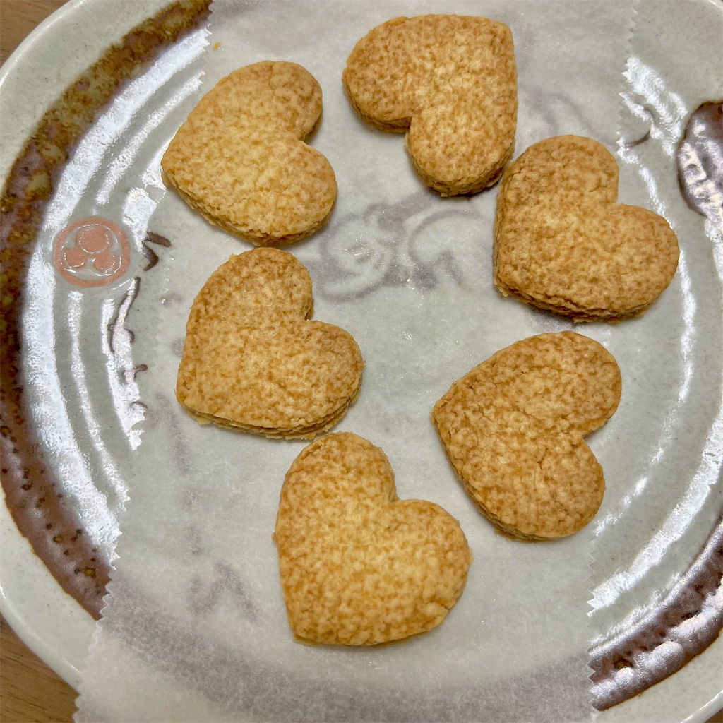 f:id:a_yellow_bird:20230507112929j:image