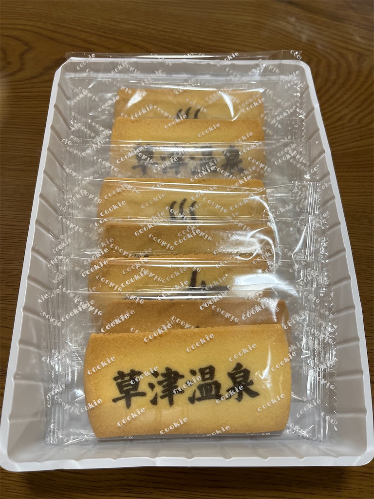 f:id:a_yellow_bird:20231010115502j:image