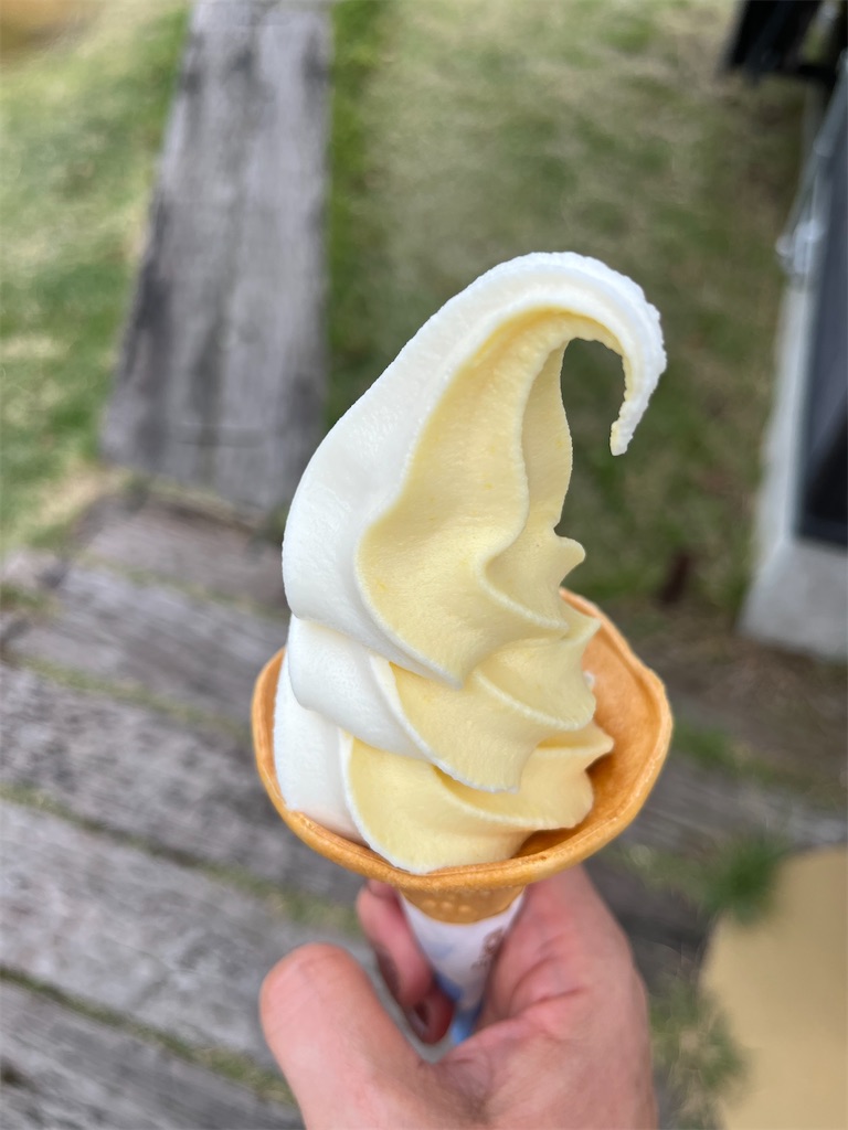 f:id:a_yellow_bird:20231010115544j:image