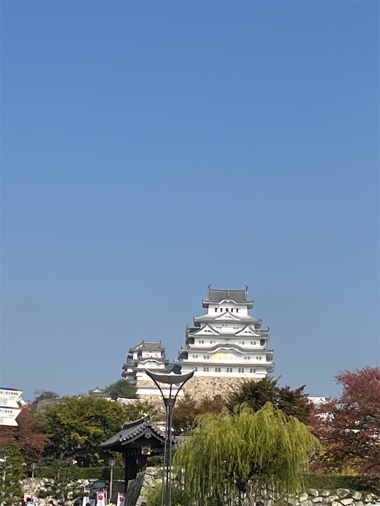 f:id:a_yellow_bird:20231105195634j:image