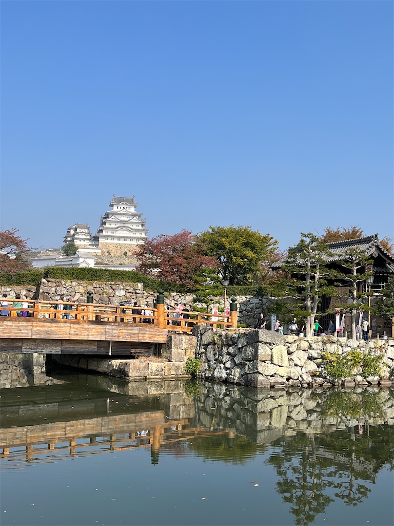 f:id:a_yellow_bird:20231105195638j:image