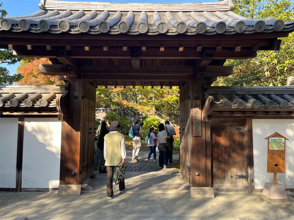 f:id:a_yellow_bird:20231105195653j:image